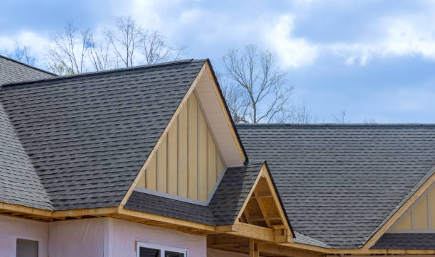 Best Asphalt Shingle Roofing  in Warrenton, GA